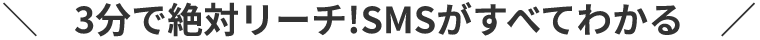 3分で絶対リーチ！SMSがすべてわかる